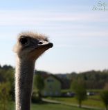 IMG_8026.JPG
