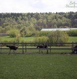 IMG_7798.JPG