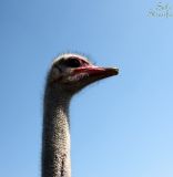 IMG_8065.JPG